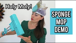 Holy Moly! Sponge Mop Demo + Bonus Cloth Demo  [2021] screenshot 5