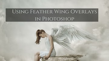 Tutorial: How To Use Feather Wing Overlays In Photoshop by Alana Lee