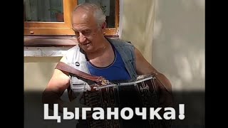 Цыганочка! Играет Александр Перов