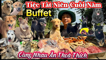 Đại Tiệc Buffet Đủ Món Tất Niên Cuối Năm 2024 Cho Bầy Cún Ăn Thoả Thích