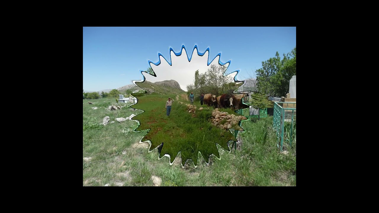 Sarız Oğlakkaya Köyü