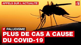 Paludisme : l'augmentation des cas, conséquence indirecte de la pandémie de Covid-19 • RFI