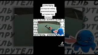 автор канала:спрутель