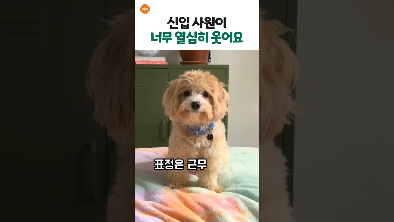 간식 받으려면 웃어