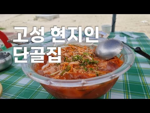 고성 가진항 자매횟집 물회 현지인들이 많이가는 자연산회 전문점 주문즉시 회도 바로썰고 소면도 바로 삶아주는 물회맛집