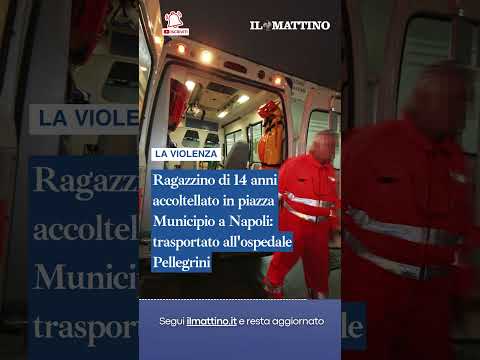 Video Napoli, ragazzino di 14 anni accoltellato in piazza Municipio: trasportato all'ospedale Pellegrini