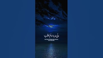 ياسر الدوسري | سورة القصص #قران بصوت يهز القلب