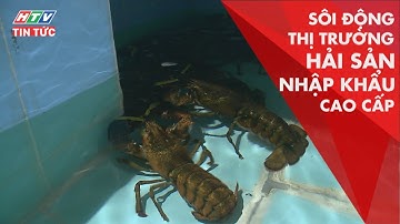 SÔI ĐỘNG THỊ TRƯỜNG HẢI SẢN NHẬP KHẨU CAO CẤP | HTV TIN TỨC | 29/08/2019