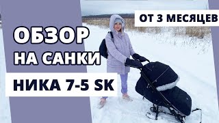 Обзор на детские недорогие санки-коляска Nika Ника-детям 7-5 SK от 3-х месяцев и до 3-х лет.