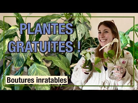 PASSION PLANTES I