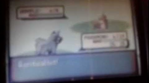 SHINY WURMPLE AFTER 5 REs FAIL CAPTURE