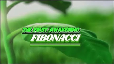 The First Awakening: Fibonacci