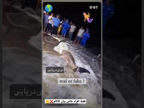 فیک یا واقعی پری دریایی