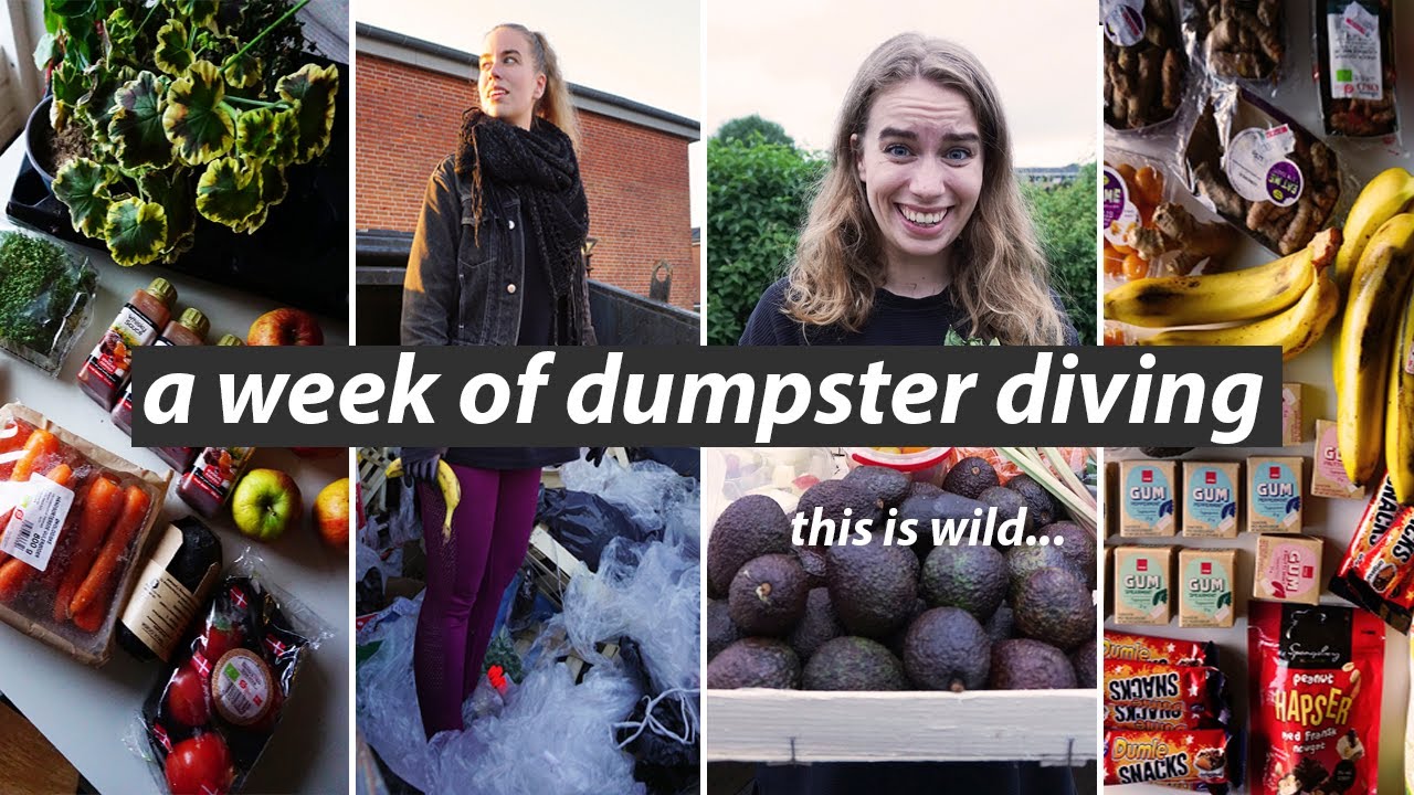 I WENT DUMPSTER DIVING FOR A WEEK // this is what happened