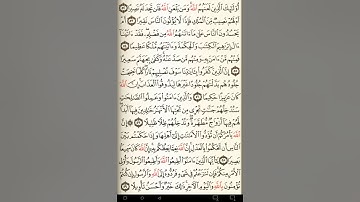 ماهر المعيقلي سورة النساء مكتوبة صفحة 87 مصحف المدينة المنورة جودة عالية