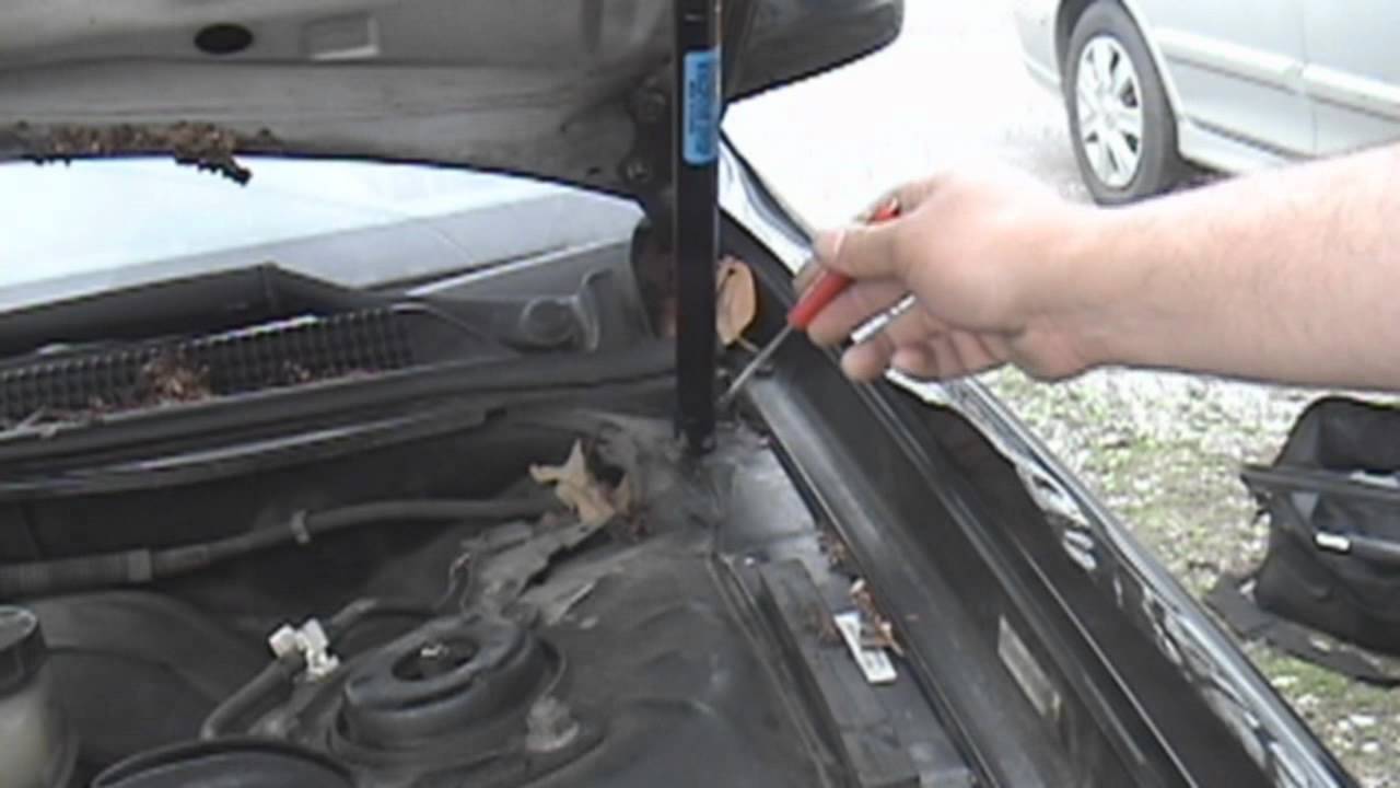 1995-2003 Nissan Maxima: (updated) Hood strut replacement - YouTube
