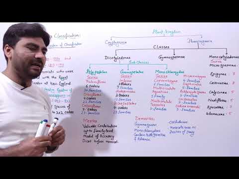 Bentham and Hooker&rsquo;s Classification System | Natural Classification @Biology With Muhammad Sajid