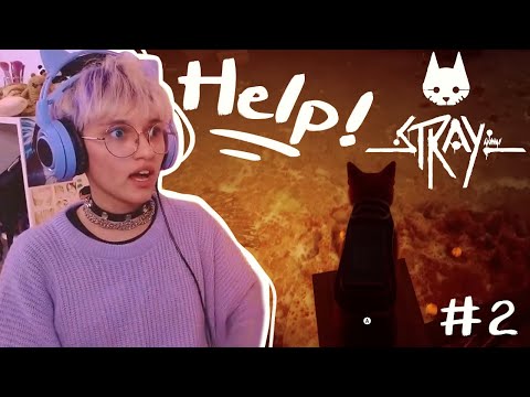 YO SOLO QUERÍA SER UN GATITO FELIZ 😭🐱 Stray #2