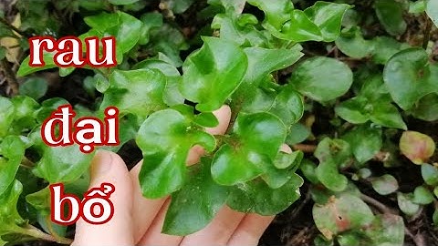 Xà lách xoong Nhật có rất nhiều lợi ích cho sức khỏe, bổ mắt tốt cho xương.