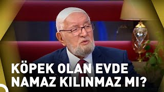 Hangi Hayvanın Olduğu Evde Namaz Kılınmaz? A Sohbetleri