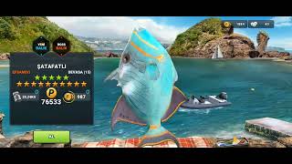 Fishing Clash 16051406