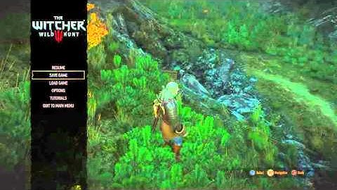 The Witcher 3: Wild Hunt One quest bug then.... water glitches