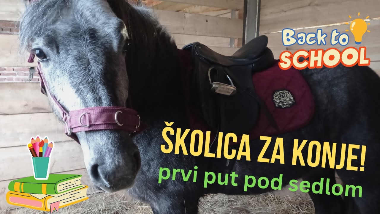 Najahivanje konja PRVI PUT POD SEDLOM  🤠 🐴 🤠