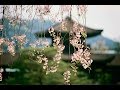 島津亜矢「すみだ川(島倉千代子)」Sumida River