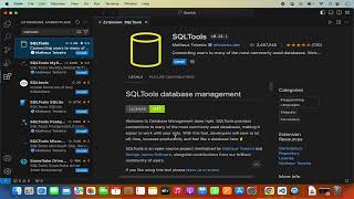 How to Use VS Code to Run SQL on a Database | How to run SQL query in visual Studio Code (2024)