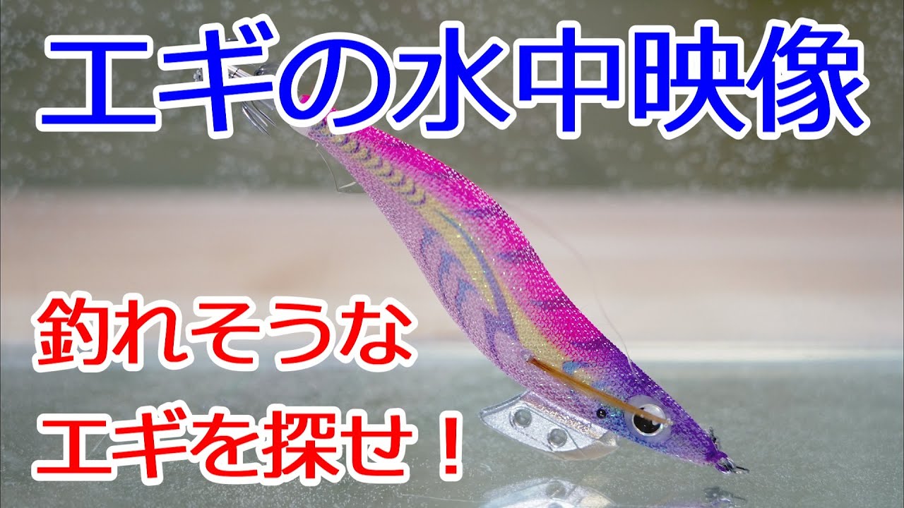 エギの水中映像 色んなエギの泳ぎ方 釣れそうなエギを探せ Youtube