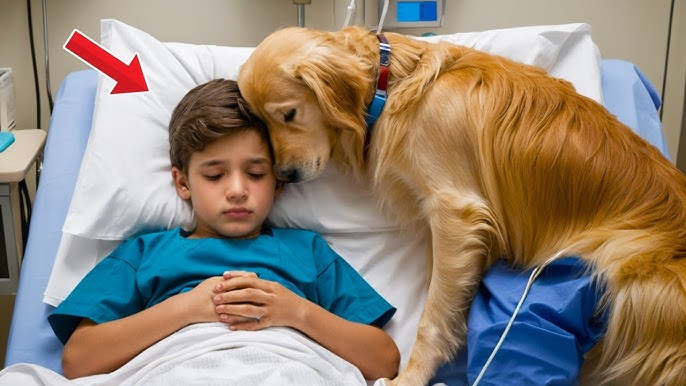 The child was about to leave, but her faithful dog did what even medicine  couldn't do