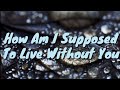 How Am I Supposed To Live Without You - Michael Bolton Lyrics (Covered by Johann Mendoza)