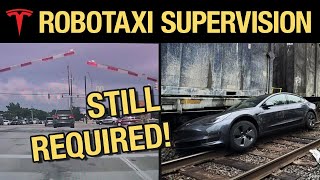 Why Tesla Robotaxi & FSD Still Need to Be Supervised!