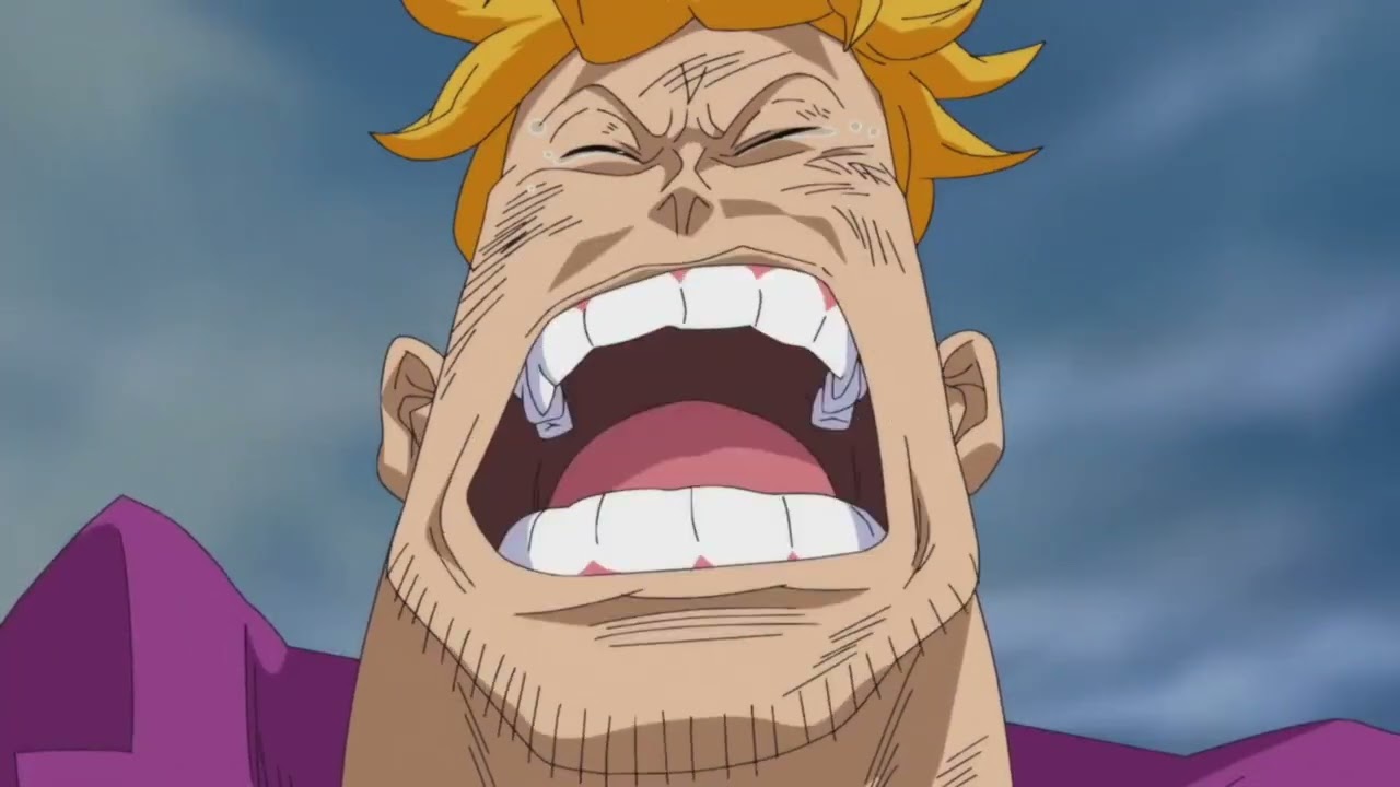 Marco Scenepack - One Piece 