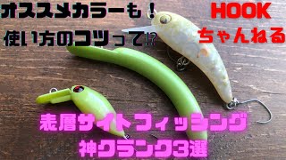 スプーン　クランク　ミノー　エリアトラウト スプーン クランク ミノー エリアトラウト