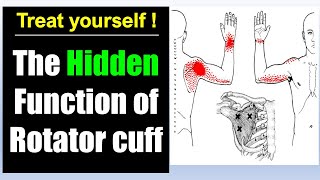 2. Rotator cuff rehab program : release massage exercises