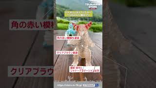 CCP MSS ゼットン クリア Ver. TSUBURAYA限定カラー – TSUBURAYA STORE