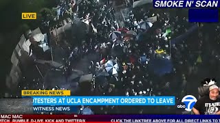 UCLA PROTEST LIVE FEED 5/1/24