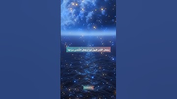 حالات واتس قران كريم تلاوات جميلة (مَّا لَكُمْ لا تَرْجُونَ لِلَّهِ وَقَارًا)