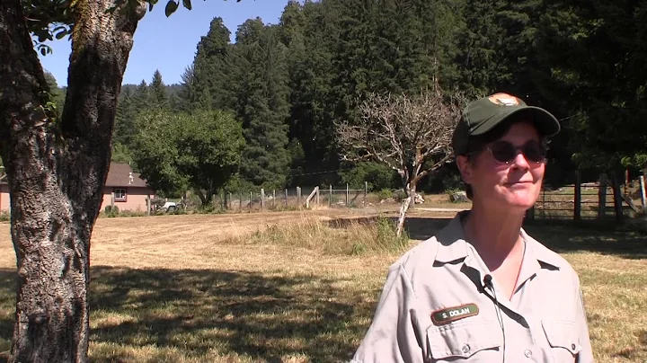 Historic Orchard Preservation: The View From The Top