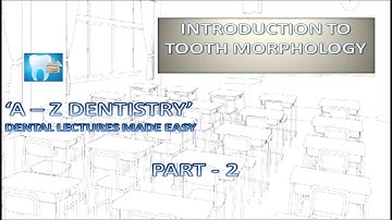 Introduction to Tooth Morphology - Part 2