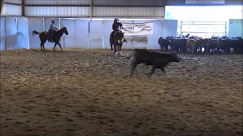 Oh Cay Shrek $15K Amateur Tiffany Marshall Tale of...
