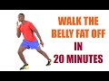 Walk The Belly Fat Off in 20 Minutes 🔥 Burn 200 Calories🔥