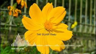The Silvers - Rindu (band indi)(audio)