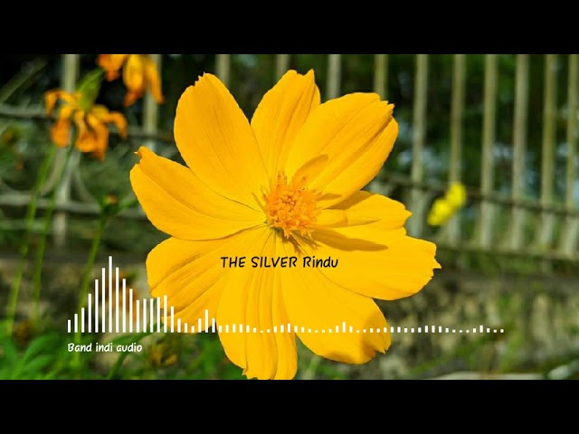 The Silvers - Rindu (band indi)(audio) class=