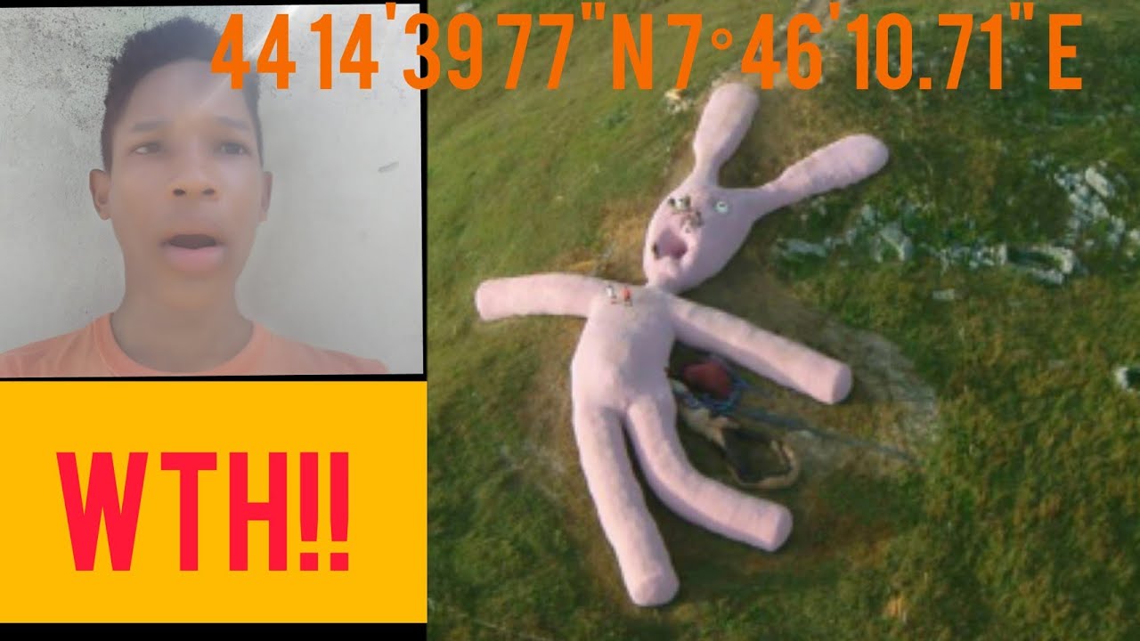 Found Giant Bunny On Google Maps Youtube Found Giant Bunny On Google Maps Youtube