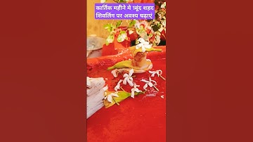 #कार्तिक महीने मे#शहद#शिवलिंग पर अवश्य चढ़ाएं#kartik#purnima#upay#mahadev#shivpuran#katha#shorts#yts#