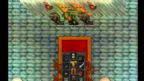 Bason Tibia Refugia Life