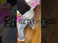 元兄妹(血が繋がってない)でゲーセンデートしてみたwww