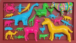 Membersihkan mainan hewan, sapi, bebek, angsa, ayam, gajah, singa, unta, buaya, zebra, kangguru.